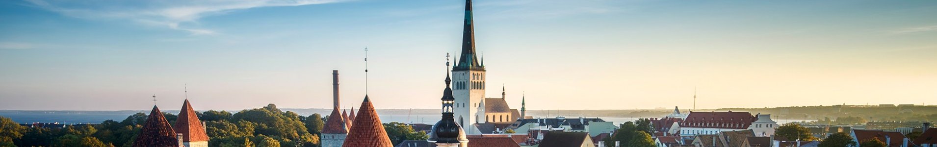 Escursioni private per crocieristi in Estonia